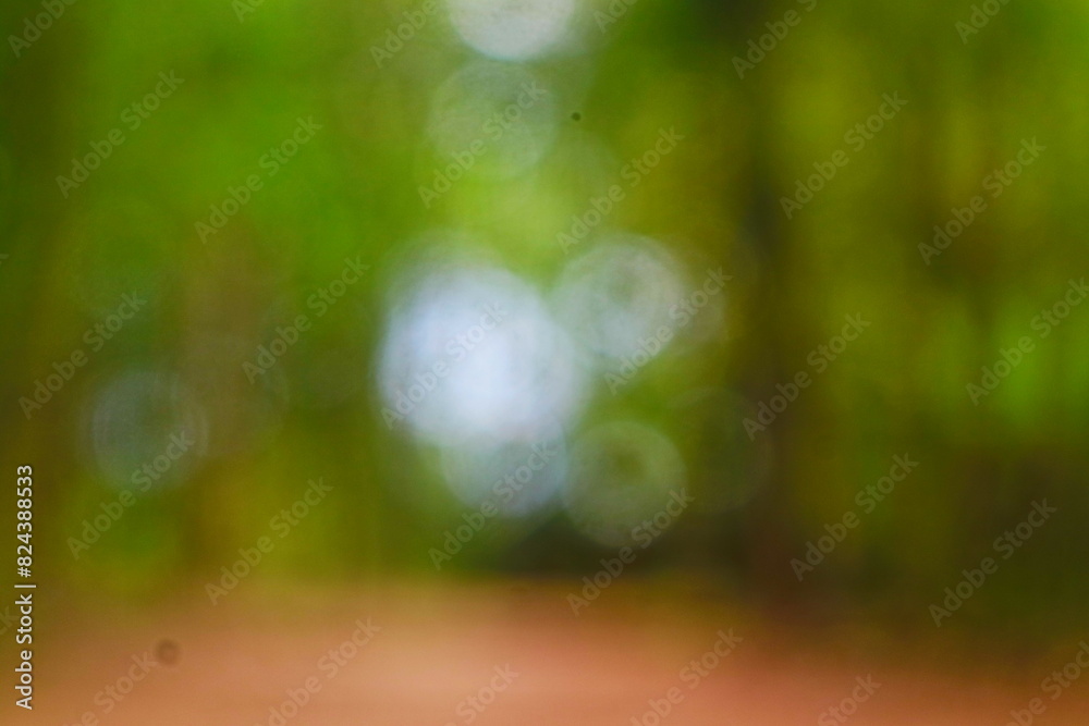 Obraz premium green bokeh background 