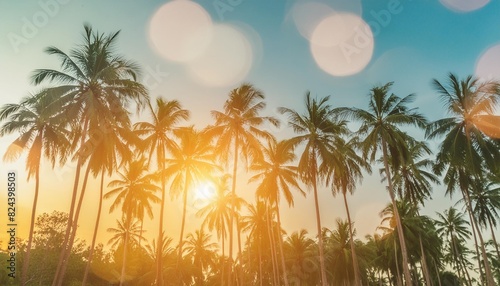 Tropical Sunset: Palm Trees with Sky Flare and Bokeh Effect © Dostain