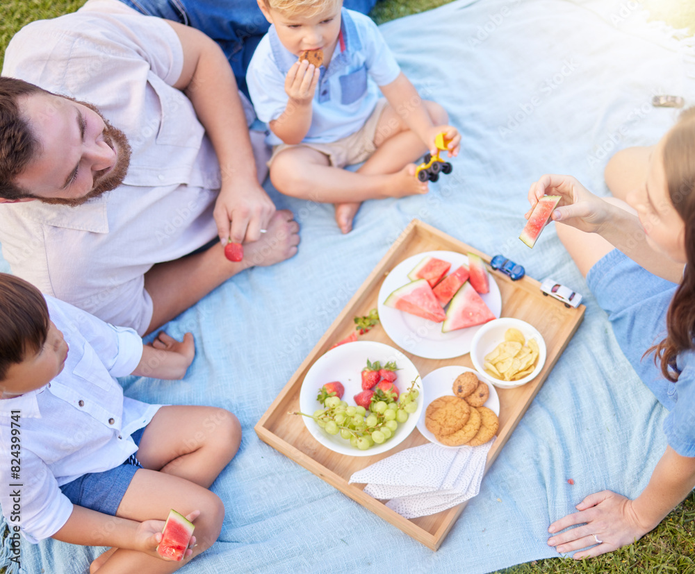Family, fruit and picnic in park with above for bonding, nutrition and healthy diet on blanket in nature. Parents, children and eating snack on grass in summer for lunch, holiday and fun activity Family, fruit and picnic in park with above for bonding, nutrition and healthy diet on blanket in nature. Parents, children and eating snack on grass in summer for lunch, holiday and fun activity