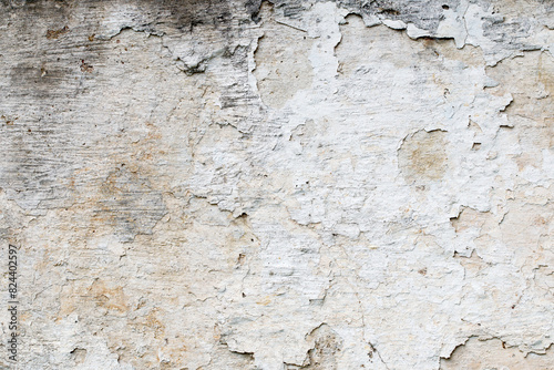 Light Gray Stucco Wall Texture. Abstract Background