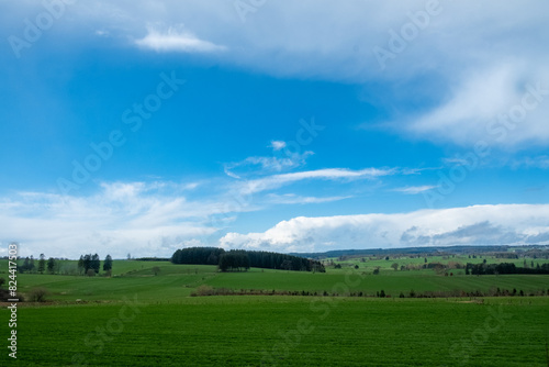 In the background  there is a beautiful blue sky with fluffy clouds  overlooking a luscious green field filled with vegetation and grass in a rural area