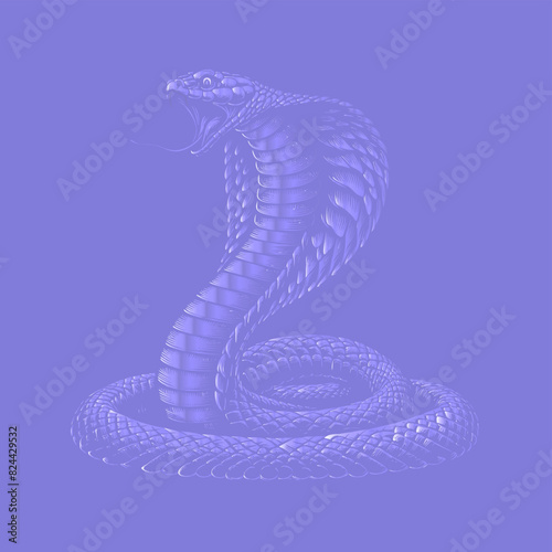 Low contrast vintage stencil drawing of a King cobra snake spreads the hood and threatens vector illustration isolated on Purple background
