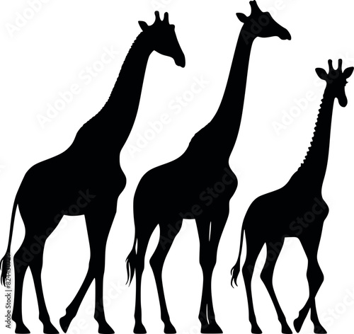 Three Black Giraffe Silhouettes of Varying Sizes - Minimalist African Wildlife Vector Art