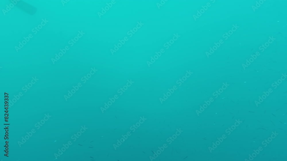 Great Barrier Reef Underwater Observatory Timelapse Australia Great Barrier Reef Underwater Observatory Timelapse Australia