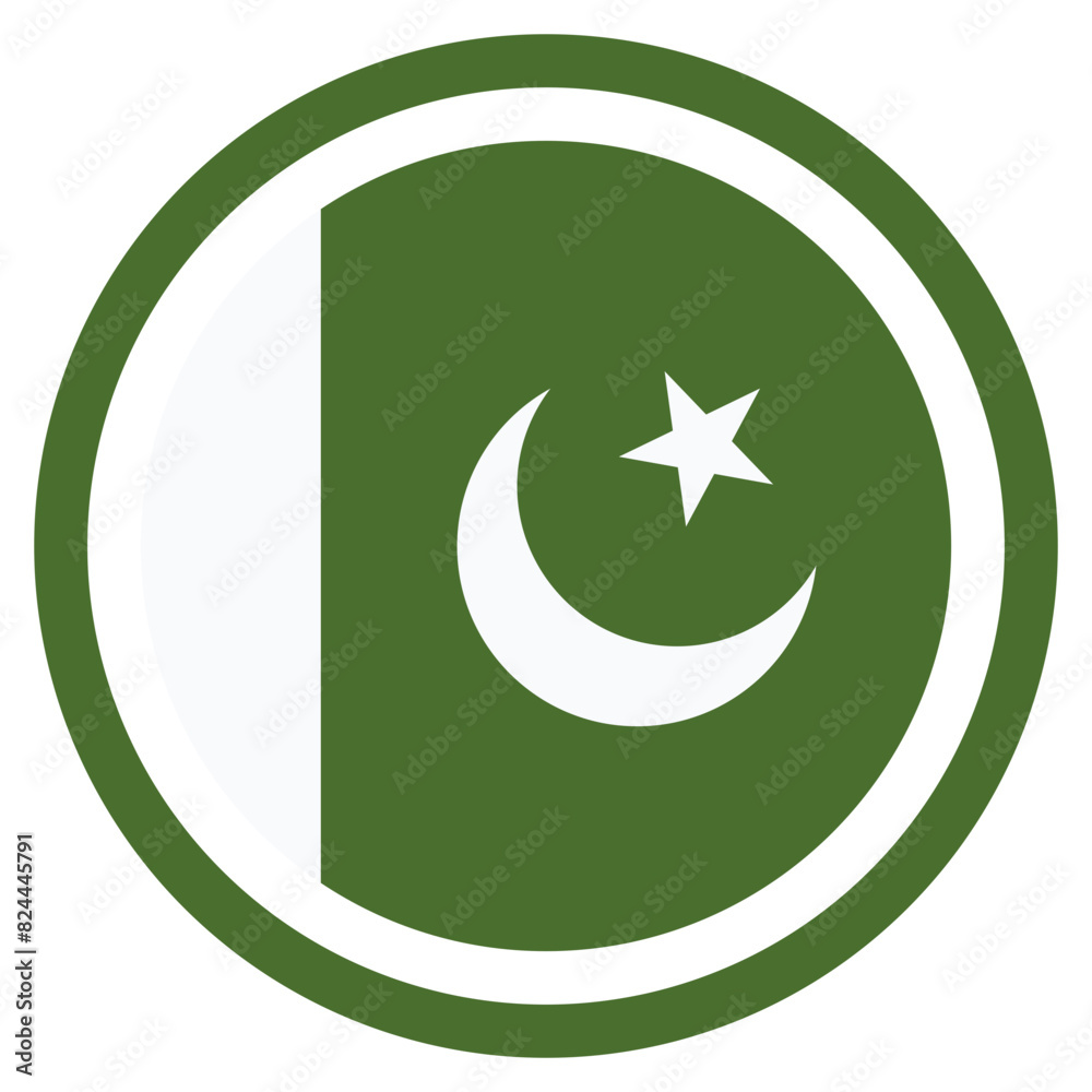 Vector Icon for Pakistan, country, national, flag, world flag Vector Icon for Pakistan, country, national, flag, world flag