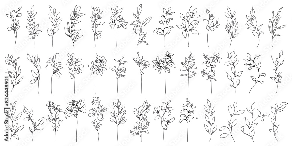 Fototapeta premium Flowers with Leaves Line Art Vector Illustrations Set for Prints, Social Media, Icons. Floral Trendy Templates Minimal Style. Set of Leaves Branches Linear Style. Hand Drawn Doodle Template Collection