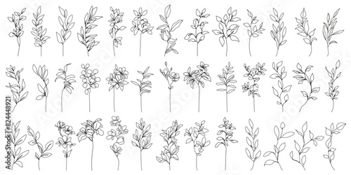 Flowers with Leaves Line Art Vector Illustrations Set for Prints, Social Media, Icons. Floral Trendy Templates Minimal Style. Set of Leaves Branches Linear Style. Hand Drawn Doodle Template Collection
