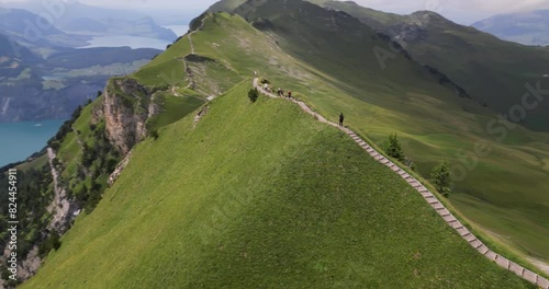 Switzerland - Drone Flght at Fronalpstock