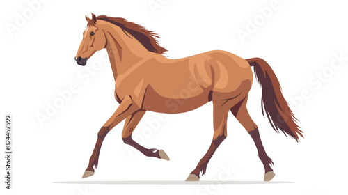 Marwari breed horse flat vector illustration. Indian