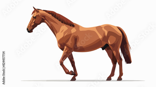 Marwari breed horse flat vector illustration. Indian