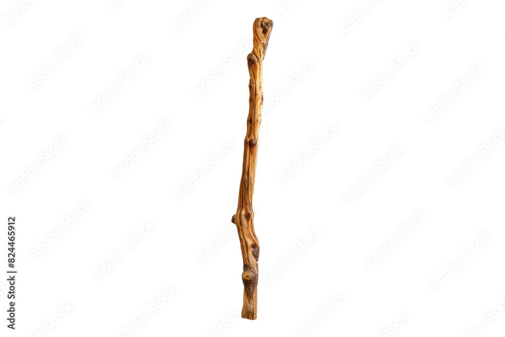 Cedar walking stick isolated on white back ground Cedar walking stick isolated on white back ground