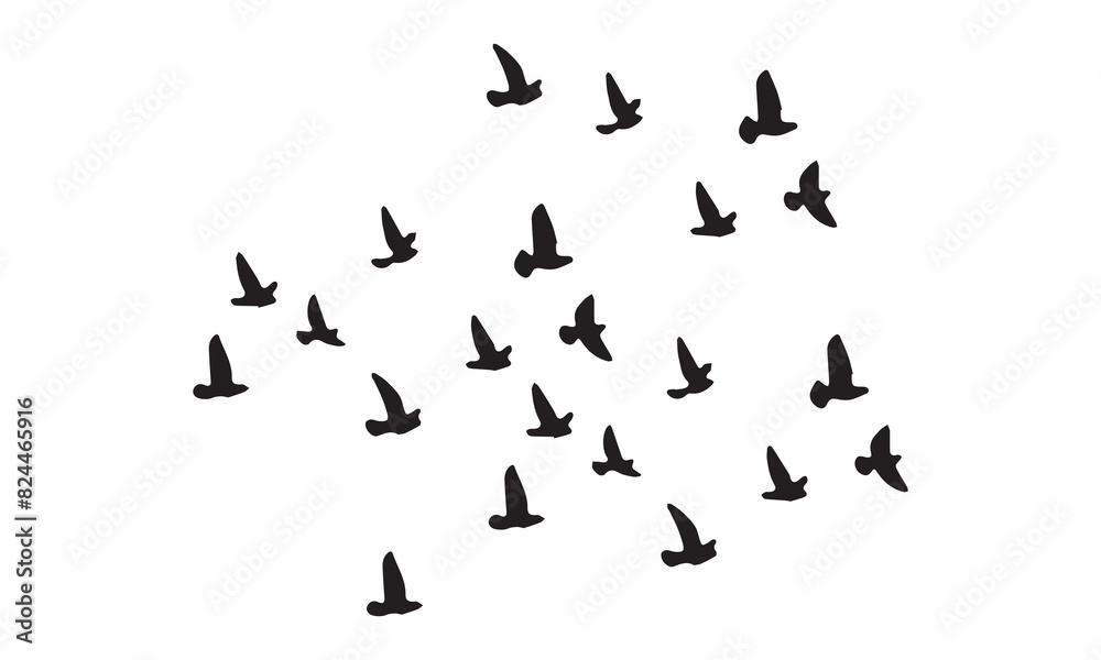 Flying Birds Vector And Illustration. Flying Birds Vector And Illustration.