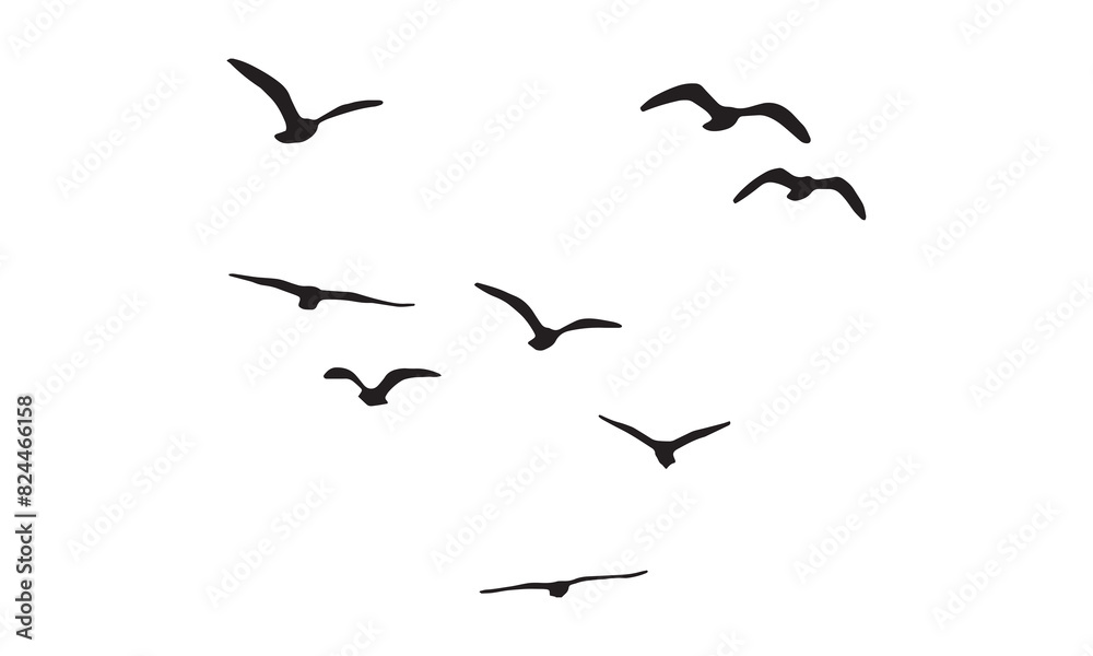 Flying Birds Vector And Illustration. Flying Birds Vector And Illustration.