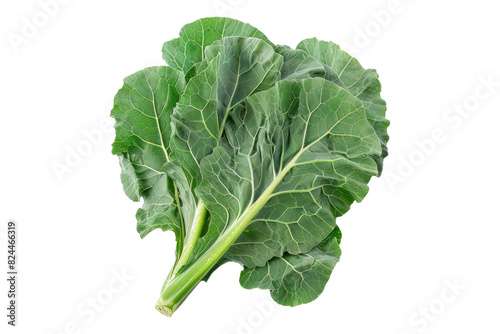 Collard greens isolated on white back ground