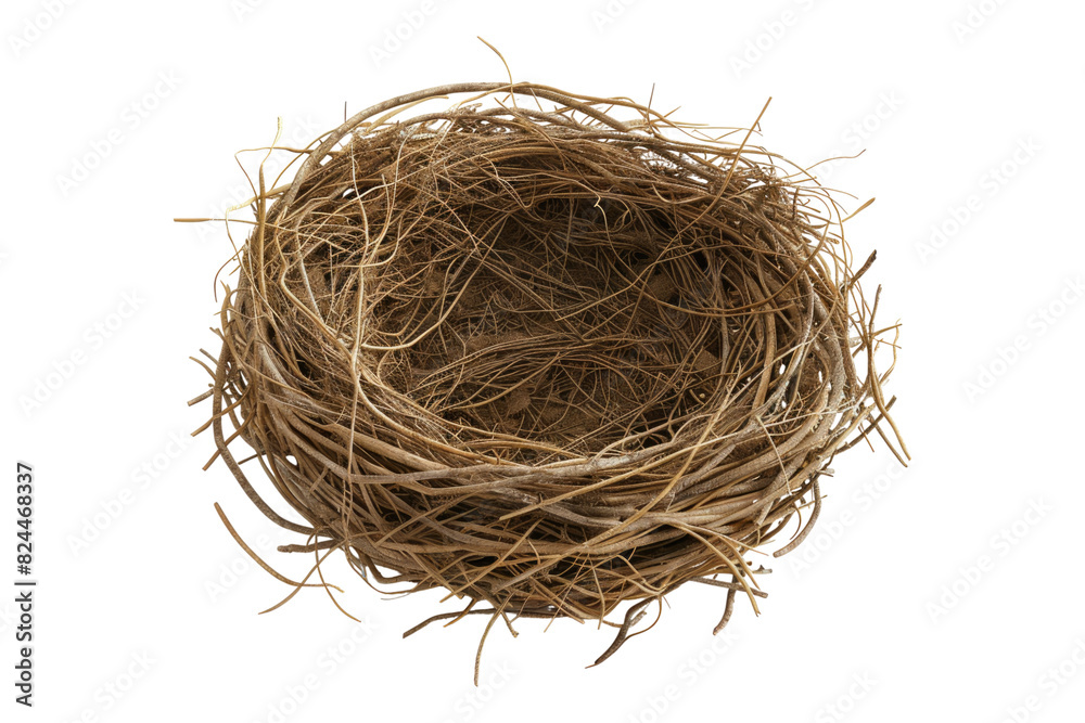 Empty bird nest isolated on white background Empty bird nest isolated on white background
