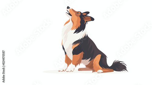 Cute dog of Sheltie breed. Tricolor doggy purebred