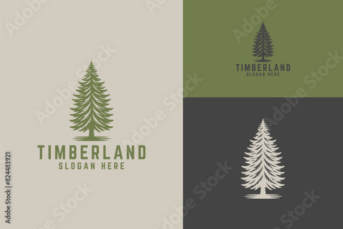 Timberland Logo Wilderness Evergreen Pine Tree Coniferous Forest Woodland