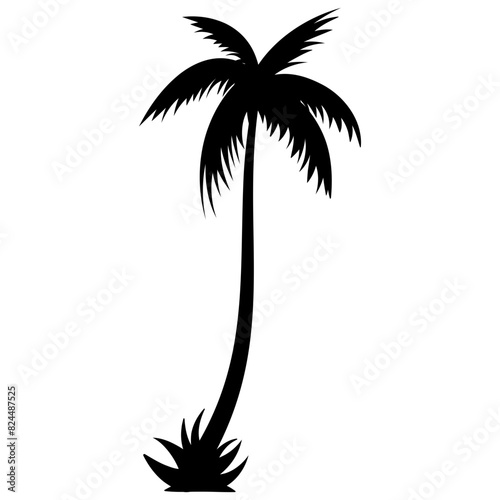 Palm trees silhouettes tropical summer. Palm tree icon.