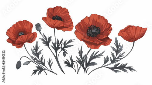 Red poppies with blossomed flowers lush petal