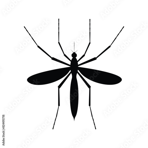Mosquito. The silhouette of a mosquito. A blood-sucking insect. Mosquito top view. Vector illustration isolated on a white background