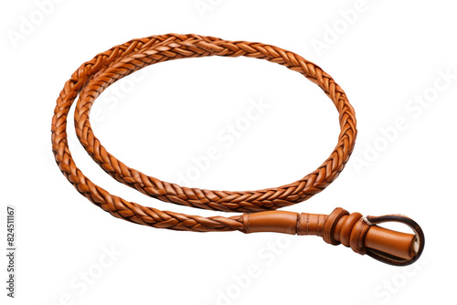 Whispering Winds: A Tale of the Leather Leash on a White or Clear Surface PNG Transparent Background.