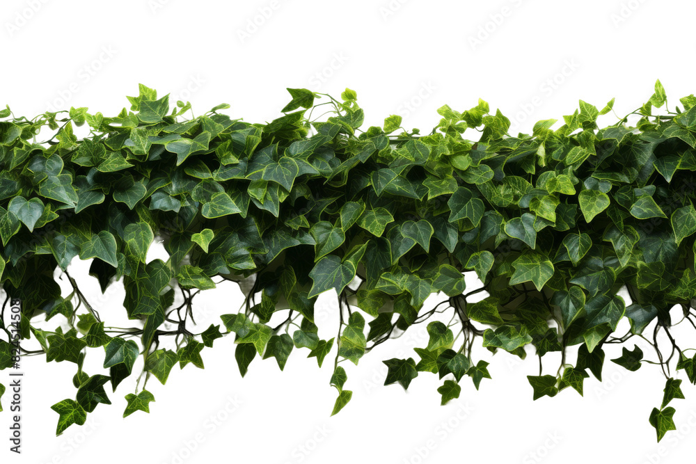 Whispers of Nature: A Verdant Symphony on a White or Clear Surface PNG Transparent Background. Whispers of Nature: A Verdant Symphony on a White or Clear Surface PNG Transparent Background.