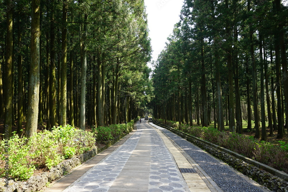 It's the road leading to the forest. It's the road leading to the forest.