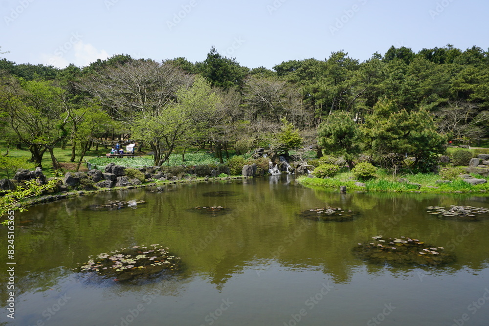 It is a picture of a forest and a small lake. The view over there is beautiful. It is a picture of a forest and a small lake. The view over there is beautiful.