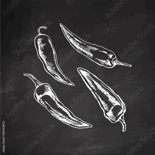 Organic food. Hand drawn retro style vector sketch of  chilli peppers. Doodle vintage illustration on chalkboard background. Engraved image.