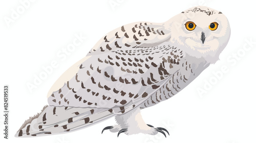 Snowy Owl flat vector illustration. Nyctea scandiaca photo