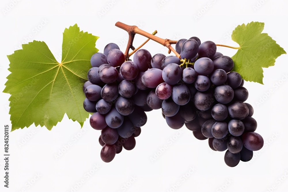 Fototapeta premium illustration of different variety of grape on white background