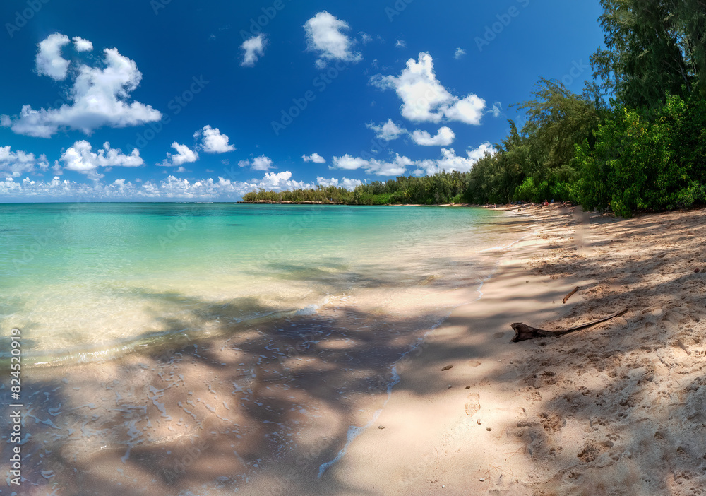 Kawela Bay Oahu North Shore Beach with the sand and the palm trees at the background Kawela Bay Oahu North Shore Beach with the sand and the palm trees at the background