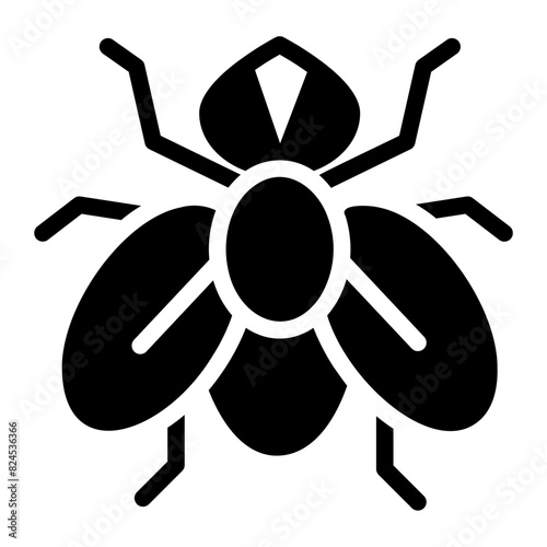 fly