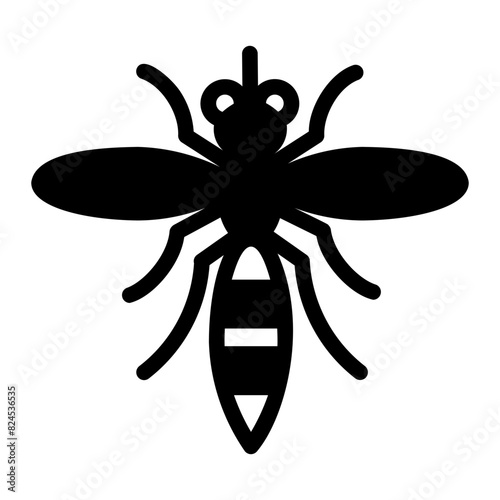 mosquito