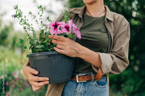 Beautiful adult redhead woman in her garden holding flower pot with petunia wearing casual style and short haircut wellness and nature calm