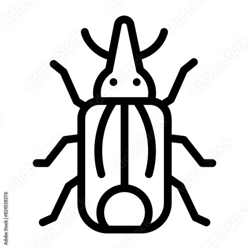 grain weevil