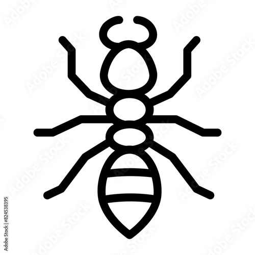 insect