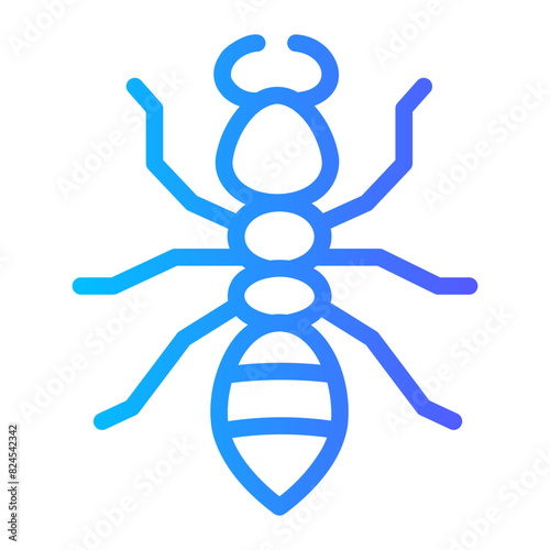 insect