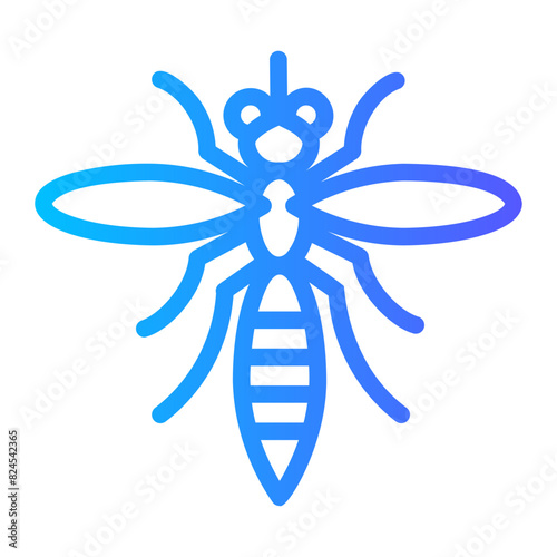 mosquito