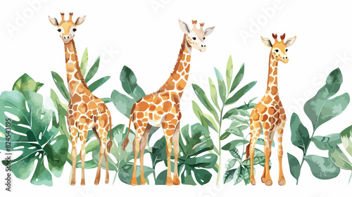 Watercolor Illustration Four of baby giraffe and trop