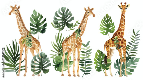 Watercolor Illustration Four of baby giraffe and trop photo