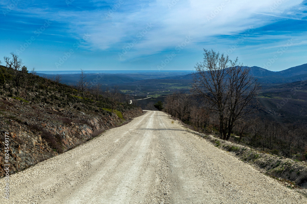 Forest track from Cantalojas to Majaelrayo. Guadalajara, Castile la Mancha, Spain.