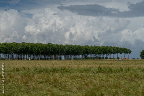 Obraz na płótnie Po Valley w salonie