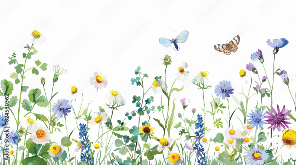 Watercolor wild flowers chamomile clover butterflies