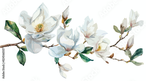 White magnolia flowers watercolor floral clip art