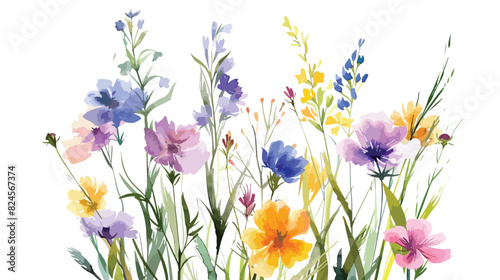 Wild flowers floral arrangement isolated. Watercolor