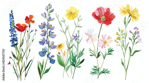 Wild flowers Four  watercolor hand drawing digital