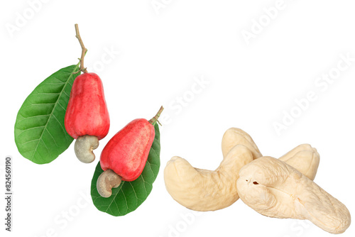 Cashew nuts raw  with ripe fruit on isolated a white background