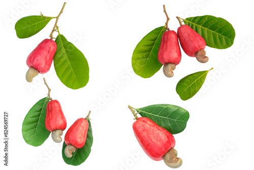 Set of Cashews fruit ripe with green leaf on isolated white background.