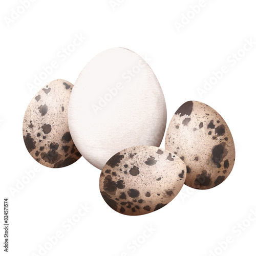 Chicken egg with three quail eggs. Watercolor illustration. Farm fresh organic products. Cooking ingredients. For packaging, label, background design, banner